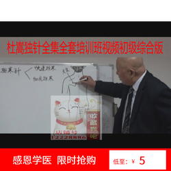 杜嵩独针全集全套培训班视频初级综合版+高级研修班