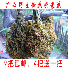 包邮 广西黄花饭花迈五色糯米饭染料野生密蒙花天然植物染料花新鲜