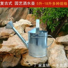 包邮 园艺工具加大浇花浇菜壶家用洒水壶镀锌铁皮加厚花洒浇水喷壶