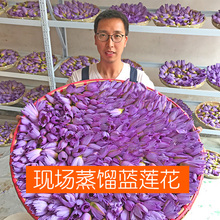 丸蔻蓝莲花纯露补水保湿 爽肤水喷雾新鲜天然无添加肌肤