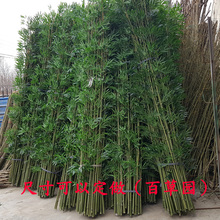 假竹子仿真竹子隔断屏风竹子植物加密塑料花景观竹细水竹阳台装饰
