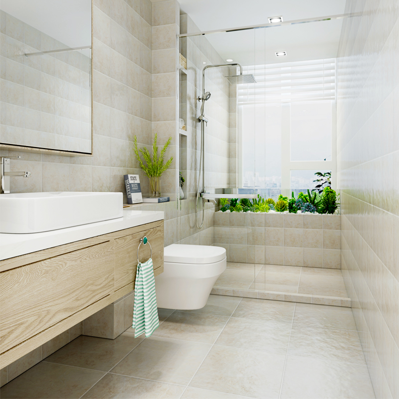 ��ʾ�������ש