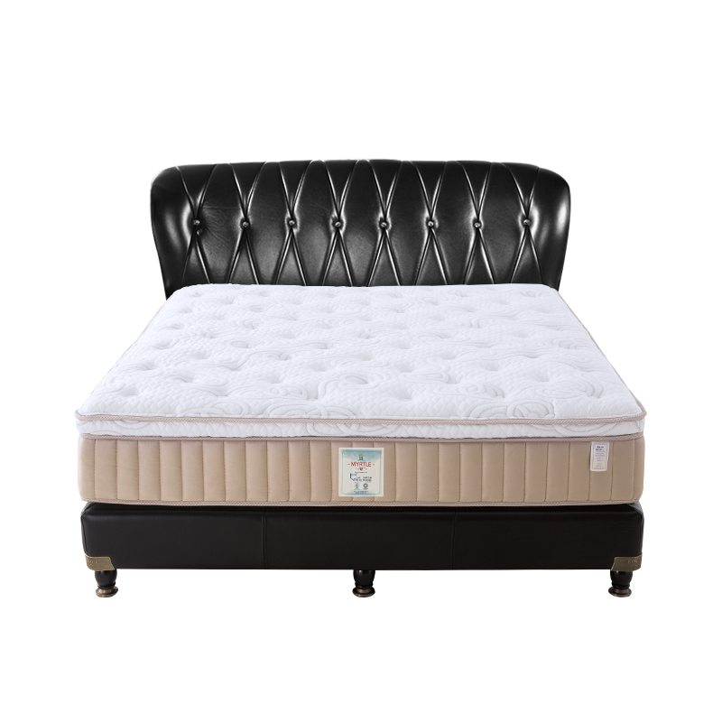 ��ɶ����Ѷ��ܵ����齺����