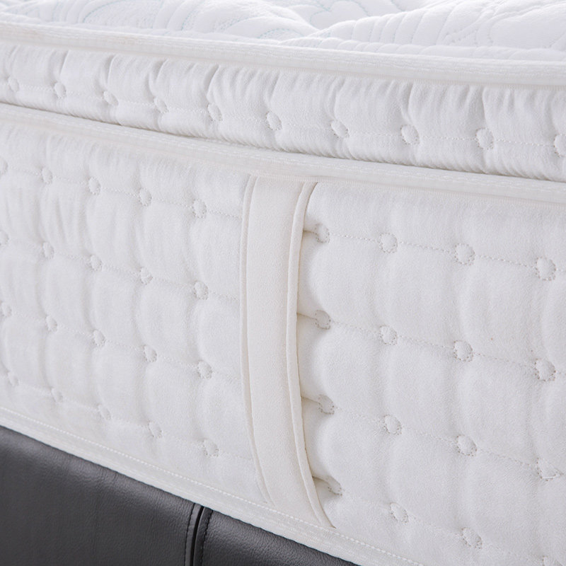 ��ɶ���˯�齺����