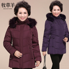 中老年羽绒服女加厚短款妈妈装冬装60-70岁老年人奶奶装羽绒外套图片