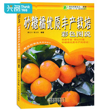 果树栽培技术书 砂糖橘病虫害防治技术 砂糖橘丰产栽培彩色图说 砂糖橘柑橘子树种植技术大全书籍教程 砂糖橘高效栽培书籍
