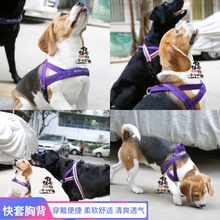 澳洲EZYDOG遛狗狗快套胸背舒适中小型大型犬牵引绳宠物项圈胸背带