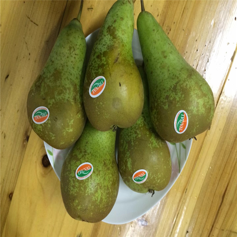 比利时啤梨原箱18~24个装 荷兰进口啤梨truva