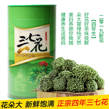 野生500g散装 2019精选新花纯天然田七花茶 三七花云南文山特级正品