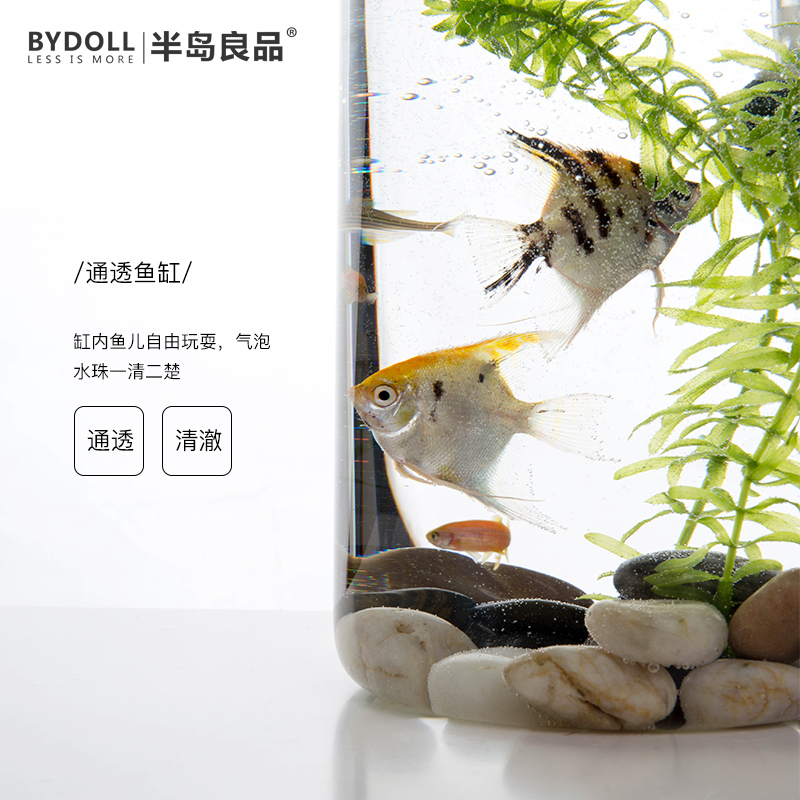 �뵺��Ʒ��̬С���