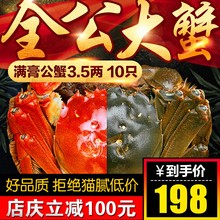 特大10只螃蟹鲜活大闸蟹全公蟹3.5两-膏肥现货礼盒装包顺丰