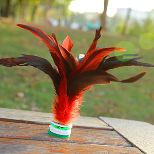 大公鸡毛毽子成人健身羽毽球