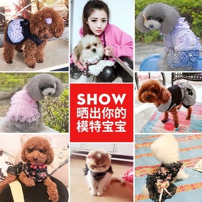 狗狗衣服夏装宠物服饰春夏吉娃娃博美犬比熊泰迪裙子小狗的连衣裙