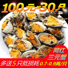 徽周鲜活小螃蟹三元蟹30只装0.7-0.9两大闸蟹香辣小闸蟹醉蟹河蟹