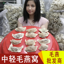 燕窝正品 孕妇 50克毛燕燕窝马来西亚中轻毛船盏天然干燕窝白燕盏