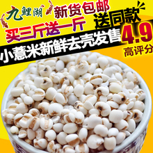 新鲜贵州小薏米 包邮 买3送1 薏米仁薏仁米苡仁五谷杂粮粗粮油500g