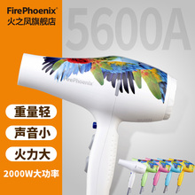 火之凤5600A电吹风机鹦鹉大功率重量轻静音发廊理发店造型风筒