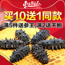 海参干货 野生淡干海参50g 大连海渗刺参辽参礼盒10份500克干60头