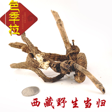 西藏特产野生当归墨脱察隅波密藏当归超四川当归茶切片打粉头