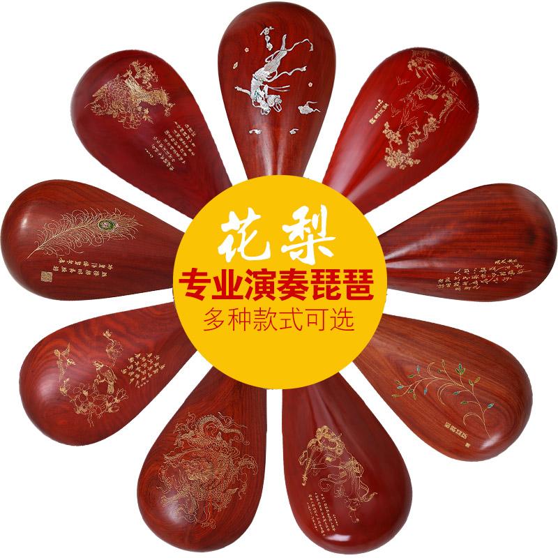 琵琶乐器独家定制专业演奏花梨木琵琶大人初学练习红木琵琶送配件