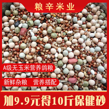 10斤鸽子粮无玉米鸽粮食营养饲料鸟食信鸽观赏鸽肉鸽幼鸽成鸽粮