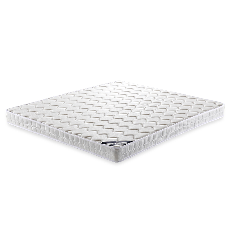 ��ɭ�������齺����802