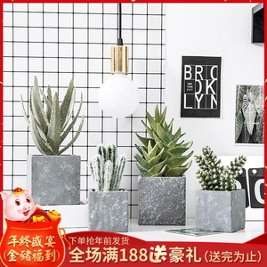 脉动 Mizone 脉动仙人掌青橘运动饮料600ml *1