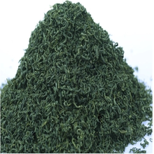 2019年新茶叶日照绿茶春茶高山云雾茶炒青散装 包邮 浓香耐泡500g