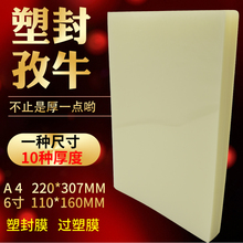 过塑膜A4塑封膜纸100张8c丝10C丝6寸照相片膜护卡膜过胶纸热封膜7