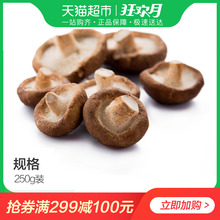 本地优质香菇250g 新鲜蔬菜火锅 菌菇