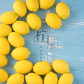 拍照摆件 黄柠檬青柠檬水果美食食品拍摄道具 静物摄影 仿真柠檬