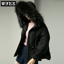 灵子飞飞LZ18Y101319图片