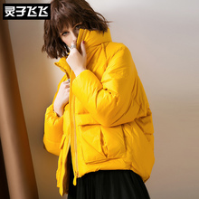 灵子飞飞LZ18Y110651图片