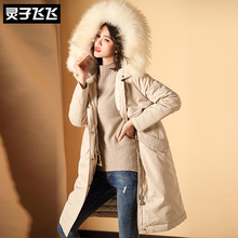灵子飞飞LZ18Y110587图片