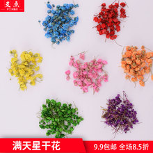 支点滴胶干花满天星 水晶滴胶干花滴胶ab胶模具带枝花朵 多规格