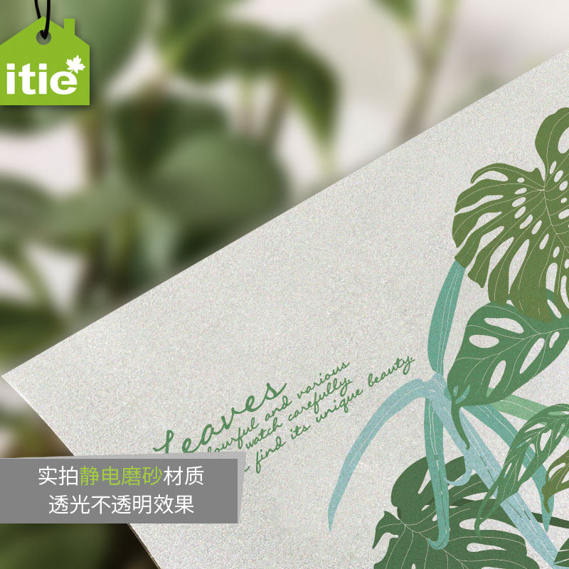 �����걳��ĥɰ���粣����ĤBS-Y10