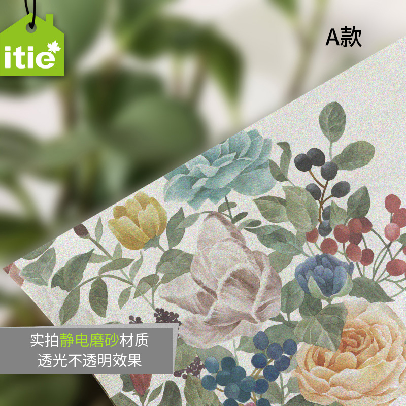 ����ĥɰ���粣����ĤBS-H02