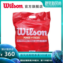 专业训练网球 60个装 网球 稳定耐用 袋装 Wilson威尔胜