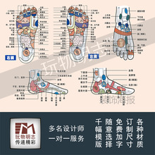 足疗店足部穴位对应区保健海报美容院写真挂图展板宣传画定制1151