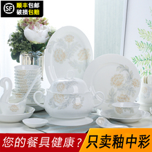 家用中式餐具套装 碗盘碗筷现代简约礼品 景德镇釉中彩骨瓷碗碟套装