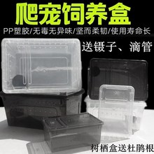 养殖箱大型蝎子养殖工具蝎子养殖设备养蝎子工具塑料 生态养蝎子
