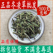 六月令500g 中草药大全 包邮 野生中药材店铺冬凌草茶冰凌草 冬凌草