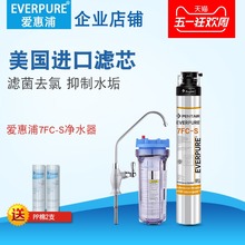 美国爱惠浦净水器 家用商用7fc-s厨房直饮4fc-s升级款 奶茶店过滤