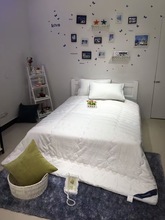 大豆纤维春秋被超轻加厚保暖冬被单人双人被芯特价 美颜舒适被子