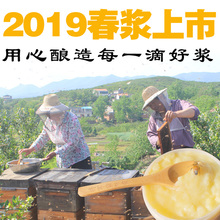 深山鲜活蜂王浆 纯正天然春浆蜂场自产 蜂皇浆 将军蜂场 新鲜500g