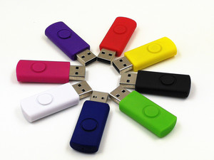 永存128mb256M512M1G2G4G8g16G32G大小容量投标书定制LOGO