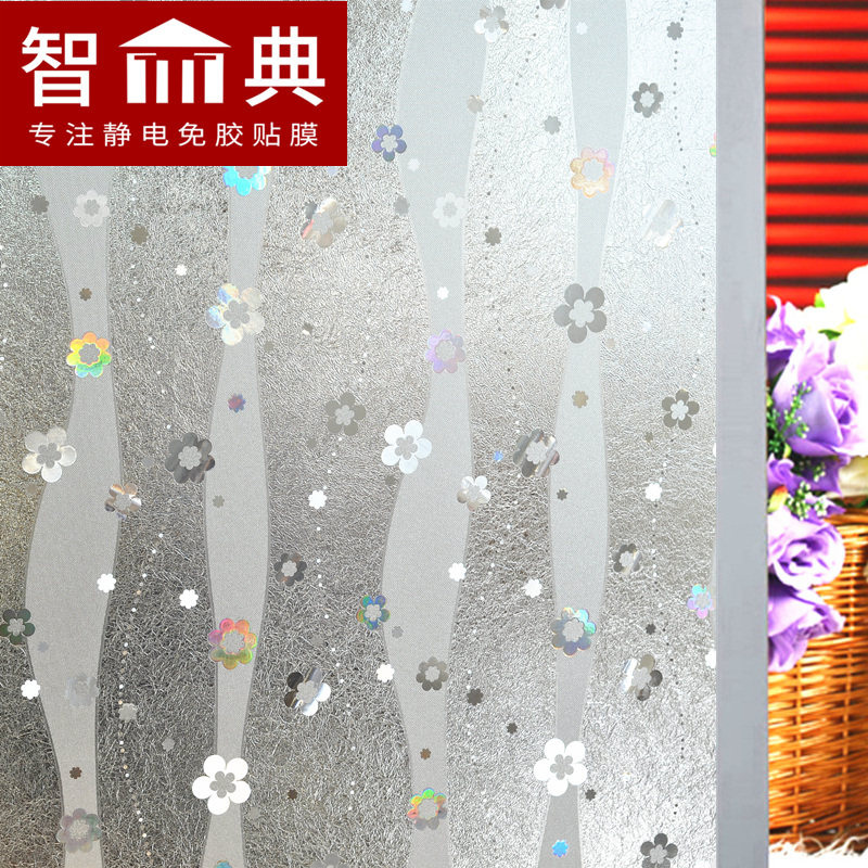 �ǵ��Ų�͸���͸�⽺���粣����ĤZD-L009