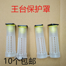 蜂王保护罩 护王套囚王笼多功能蜂王防咬台罩养蜂工具 蜂具育王台