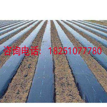 黑色地膜1米1.5米2米宽除草专用黑地膜 全新料加厚农用塑料黑薄膜