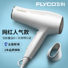 飞科电吹风机家用大功率宿舍用学生网红款风筒发廊静音冷热不伤发